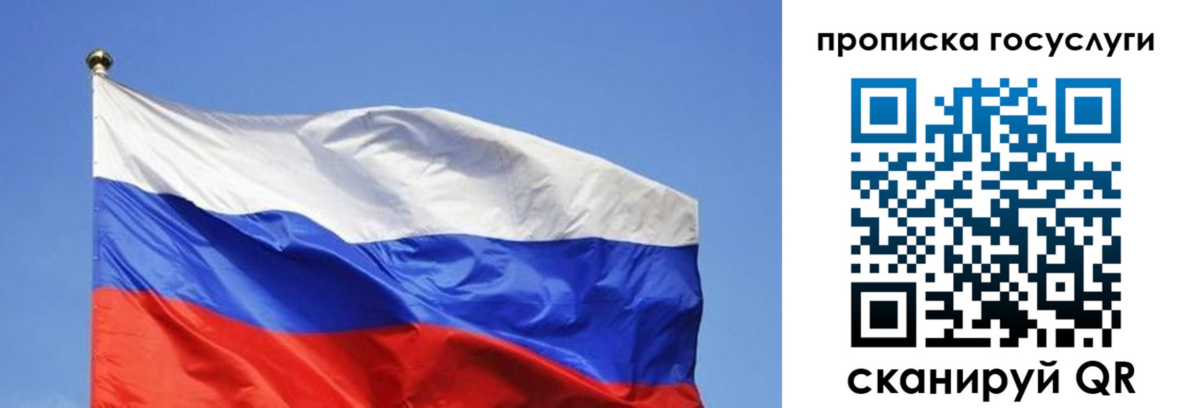 пропишу в квартире в Звенигово